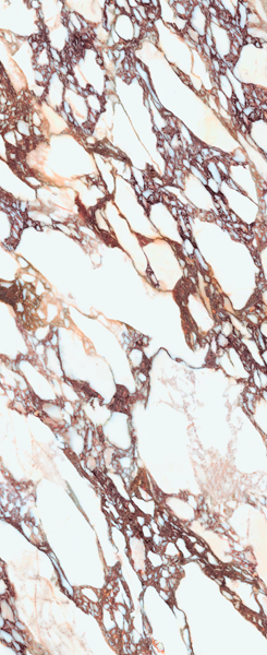 Гранит керамический матовый LAMF012554_IT I NATURALI Calacatta Viola Naturale 120х300х0,56 см