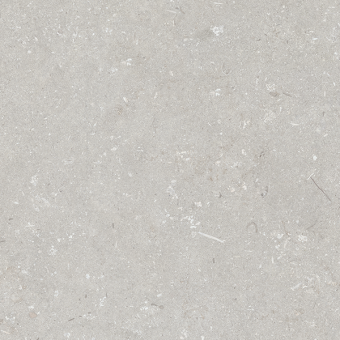 Гранит керамический n178251 SHELLSTONE Bianco MATT RET 120х120х0,95 см