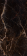 Гранит керамический полированный CR.LUX LAURANTS Brown PUL.120x260x0,6 см Гранит керамический полированный CR.LUX LAURANTS Brown PUL.120x260x0,6 см